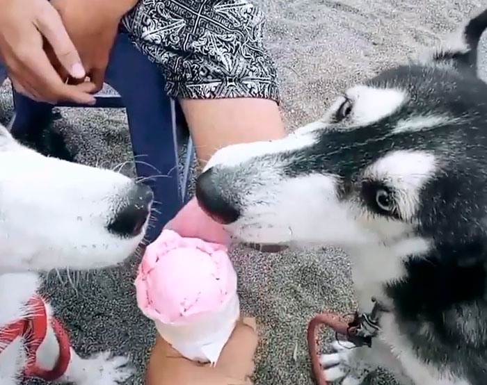 

Nàng cũng rất thích ăn kem nữa  