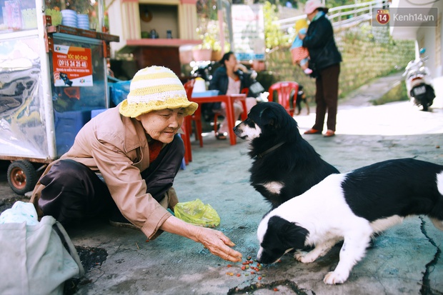 Hồng nhan thời trẻ ɴɦưng về già chẳng chồng con, cụ bà 83 tuổi bầu bạn với thú hoang nơi phố núi Đà Lạt - Ảnh 9.
