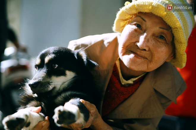Hồng nhan thời trẻ ɴɦưng về già chẳng chồng con, cụ bà 83 tuổi bầu bạn với thú hoang nơi phố núi Đà Lạt - Ảnh 11.
