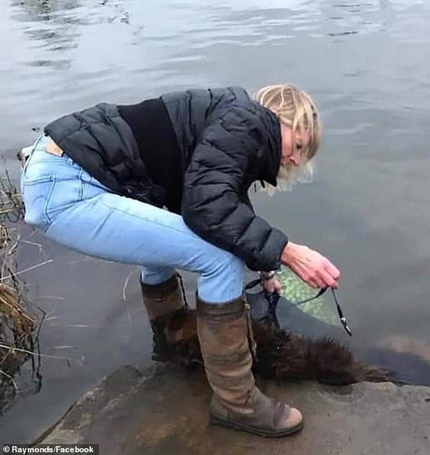 Bị chủ nhân buộc đá vào chân thả xuống sông, chú chó tội nghiệp vật lộn cố ngoi lên mặt nước để giữ mạng sống - Ảnh 1.