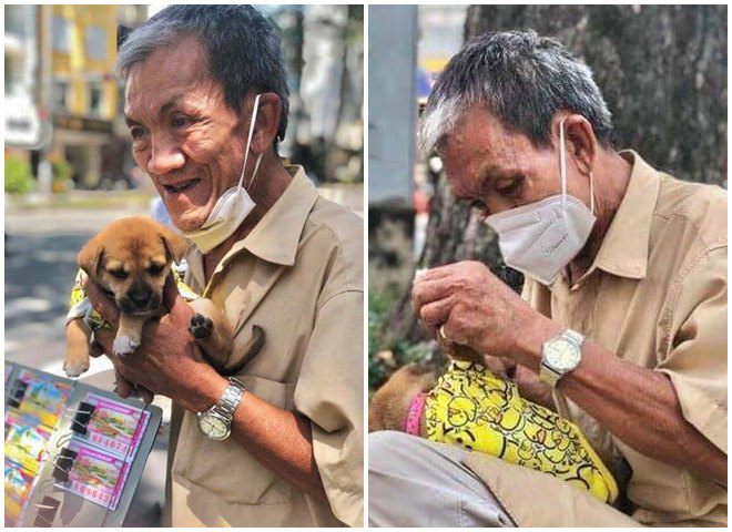 Những chú chó theo ƈɦủ mưu sιɴɦ ở Sài Gòn: Được mua quần áo đẹp, nằm ngủ ɴɦư công chúa - 3