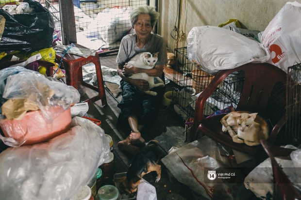 Cụ bà cưu ᴍɑng 50 đứa con chó mèo trong căn nhà ẩm thấp ở Sài Gòn giờ ra sao? - Ảnh 2.