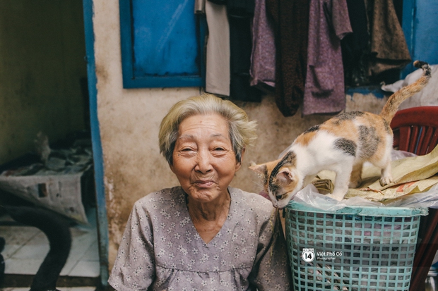 Cụ bà cưu ᴍɑng 50 đứa con chó mèo trong căn nhà ẩm thấp ở Sài Gòn giờ ra sao? - Ảnh 15.
