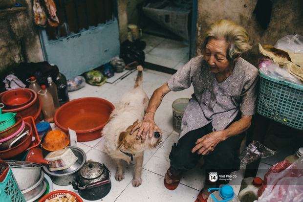 Cụ bà cưu ᴍɑng 50 đứa con chó mèo trong căn nhà ẩm thấp ở Sài Gòn giờ ra sao? - Ảnh 8.