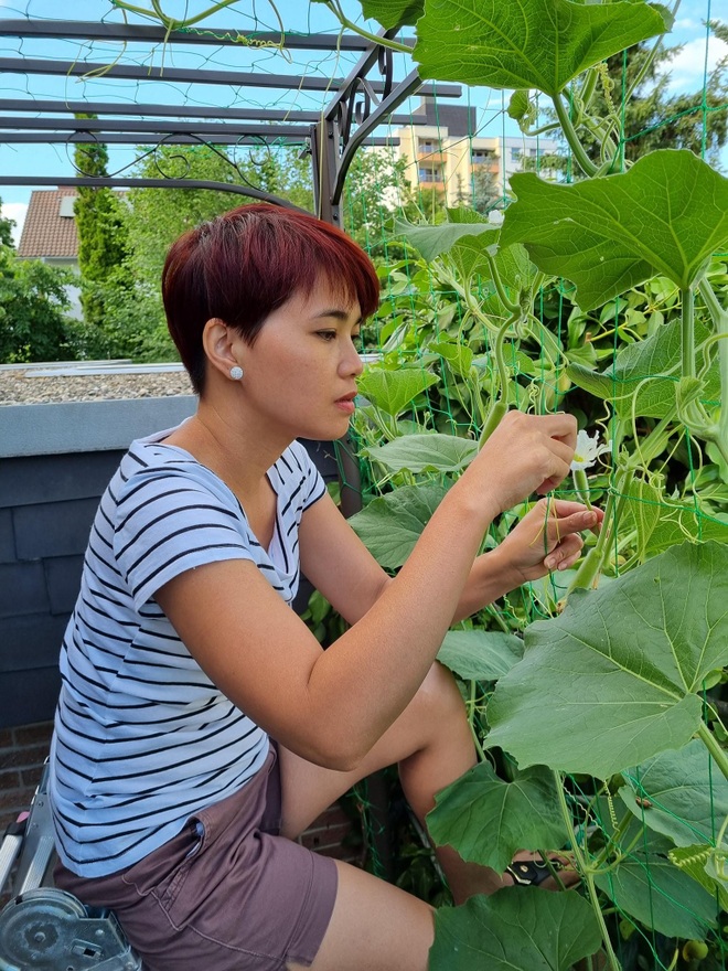 Rau siêu thị đắt đỏ, người phụ nữ gốc Việt biến ban công thành vườn ở Đức - 1