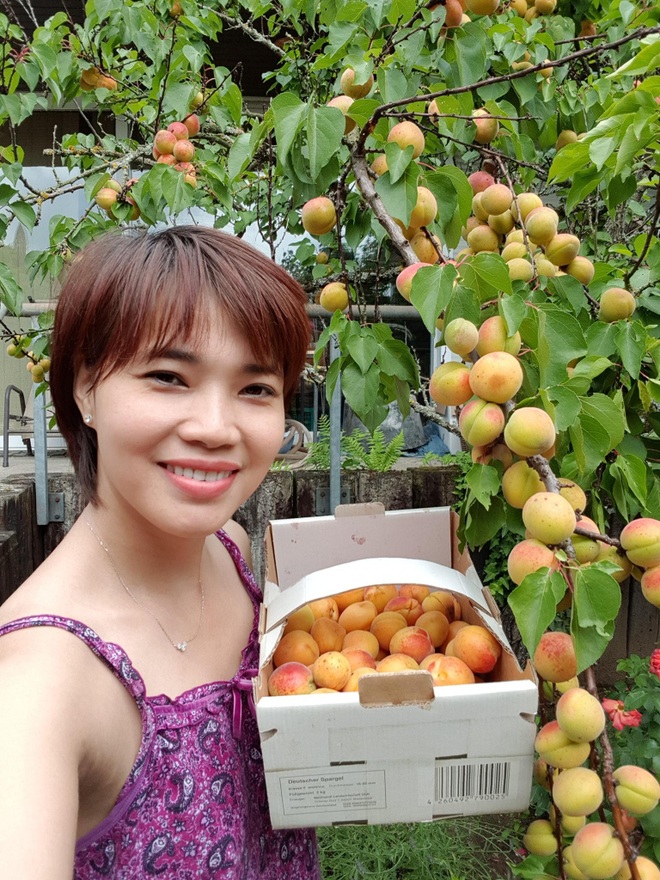 Rau siêu thị đắt đỏ, người phụ nữ gốc Việt biến ban công thành vườn ở Đức - 9