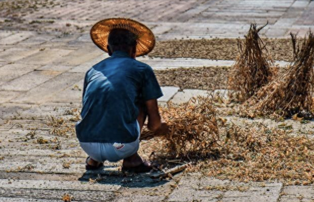 Bị bại não, mẹ ruột bỏ đi, tôi được bố và mẹ kế một tay nuôi nấng – 20 năm sau, tôi sống giàu sang, xây biệt thự báo hiếu bố mẹ- Ảnh 1.