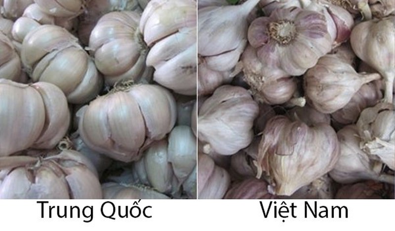 18 loại rau củ với cách phân biệt nguồn gốc từ Trung Quốc hay - Ảnh 17.