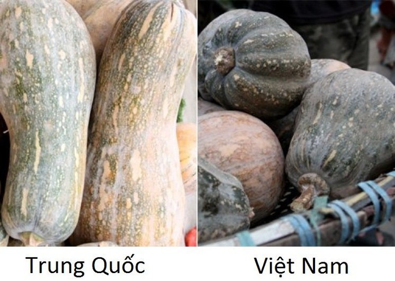 18 loại rau củ với cách phân biệt nguồn gốc từ Trung Quốc hay - Ảnh 5.