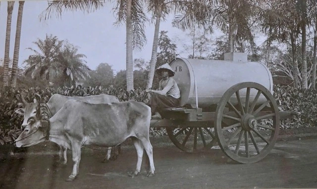 Sài Gòn 'Hòn ngọc Viễn Đông' cách nay một thế kỷ qua bộ ảnh mới công bố- Ảnh 4. Sài Gòn 'Hòn ngọc Viễn Đông' cách nay một thế kỷ qua bộ ảnh mới công bố- Ảnh 4.
