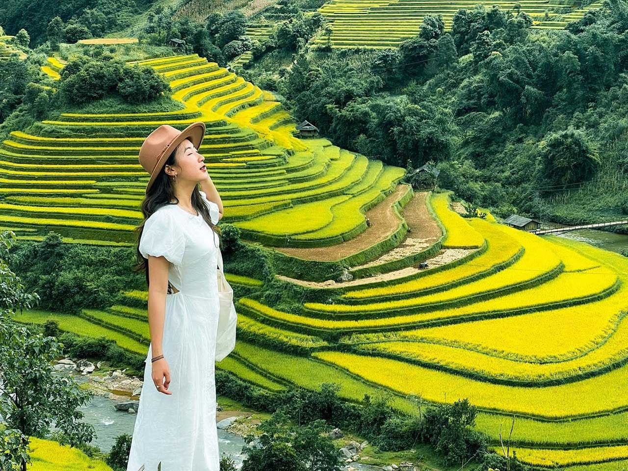 photo-1762489533058 photo-1762489533058