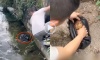 Video: Vớt túi ni lông ở dưới mương nước lên thì phát hiện chú chó nhỏ bên trong