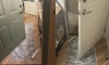 Trò đạp cửa quậy nhà dân ở quận Cam gây lo ngại