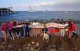 Incredible! Found the world’s longest fish washed up on the coast in Southern California