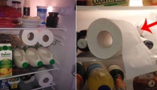 Chuyện gì xảy ra nếu đặt cuộn giấy vệ sinh vào ngăn mát tủ lạnh?