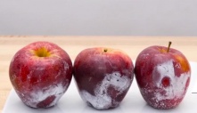 Những mẹo hay giúp bạn nhận biết táo có chứa hoá chất hay không