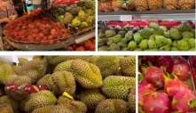 Mẹ Việt kể chuyện đi chợ châu Á: Thứ cây mọc thành bụi xin được ở Việt Nam mà sang đó xem giá “ngất ngây”