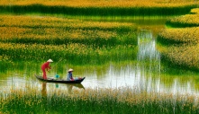 Một thoáng quê hương: Không nơi nào bằng quê hương Việt Nam tươi đẹp