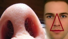 Thói quen cắt, nhổ lông mũi có hại hay vô hại: Bác sĩ Mỹ giải thích cực chuẩn, ai cũng phục