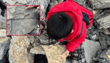 Đi leo núi và chơi đào kho báu cùng cha, bé trai 5 tuổi hét lớn khi tìm thấy hóa thạch 500 triệu năm