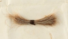 Lọn tóc của Abraham Lincoln được bán đấu giá hơn 81,000 USD