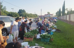 Chợ 'chồm hổm' mỗi sáng Chủ Nhật kiểu Việt Nam ở Houston
