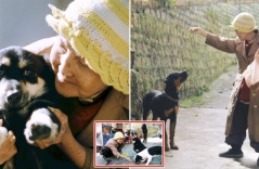 Hồng nhan thời trẻ nhưng chẳng chồng con, cụ bà 83 tuổi bầu bạn với chó hoang nơi phố núi Đà Lạt: “Ấy thế mà vui con à”