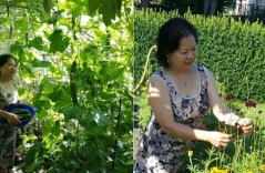Ngưỡng mộ khu vườn “không thiếu thứ gì“ của mẹ Việt ở Đức từng không biết nhổ cỏ, xới đất