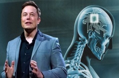 Công ty của Elon Musk được cấp phép cấy chip não ở người