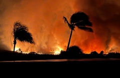 Nhân chứng kể khoảnh khắc 'bão lửa' càn quét thị trấn Hawaii