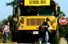 Vì sao xe buýt chở học sinh ở Mỹ chỉ dùng màu vàng