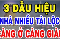 Nhà có 3 dấu hiệu này chúc mừng bạn đất có chôn giấu kho báu, càng ở càng giàu có