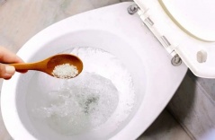 Tại sao nên rắc muối vào bồn cầu?