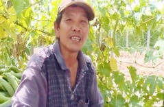 Triệu phú nông dân “ẩn thân” trên đất Mỹ Triệu phú nông dân “ẩn thân” trên đất Mỹ
