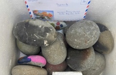 Du khách trả lại 14 kg đá cuội lấy từ Cô Tô 10 năm trước