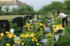 Cách sắm lễ và cúng, tảo mộ Tết Thanh minh