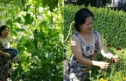 Ngưỡng mộ khu vườn “không thiếu thứ gì“ của mẹ Việt ở Đức từng không biết nhổ cỏ, xới đất