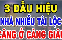 Nhà có 3 dấu hiệu này chúc mừng bạn đất có chôn giấu kho báu, càng ở càng giàu có