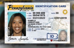 REAL ID là gì, vì sao người Mỹ buộc phải xuất trình khi đi máy bay?