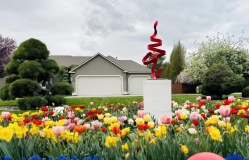 Khu vườn bốn mùa hoa của vợ chồng Việt ở Washington