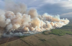 Khói cháy rừng bao phủ nhiều khu vực ở Mỹ, Canada, lan sang châu Âu