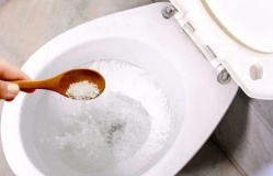Tại sao nên rắc muối vào bồn cầu?