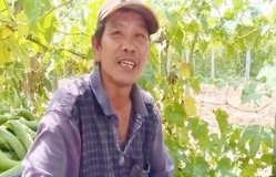 Triệu phú nông dân “ẩn thân” trên đất Mỹ