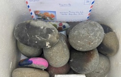 Du khách trả lại 14 kg đá cuội lấy từ Cô Tô 10 năm trước