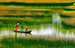 Một thoáng quê hương: Không nơi nào bằng quê hương Việt Nam tươi đẹp