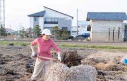 Người phụ nữ Việt chăm chỉ làm ruộng với nông trại 50ha được báo Nhật ca ngợi