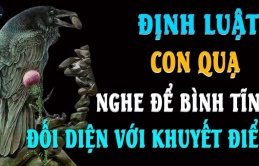 Về già muốn con cái báo hiếu phải nhớ 'định luật con quạ', biết sớm phúc càng dày