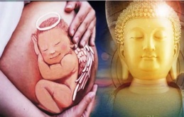 Vì sao đứa trẻ lại muốn đầu thai vào nhà bạn! Dù có con hay không bạn cũng nên đọc