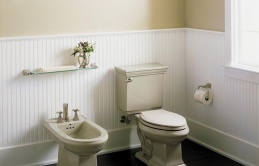 Bạn sẽ không nhìn thấy vòi xịt toilet khi đến Mỹ - vì sao vậy?