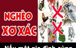 Nếu trong gia đình cùng lúc xuất hiện 4 con giáp ‘trùng nhau’ thì khó mà phát triển được